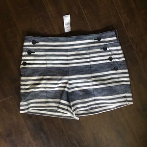 NWT Ann Taylor LOFT Shorts